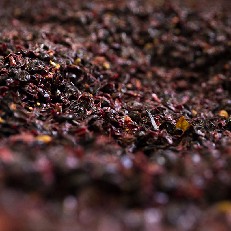 Domaine situé en Côte Chalonnaise produisant des vins de Bourgogne