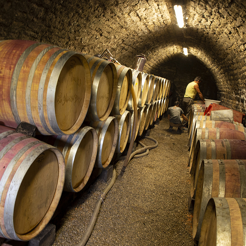 Vins de Bourgogne vinifié dans le respect des traditions